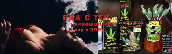 хмурый Абаза