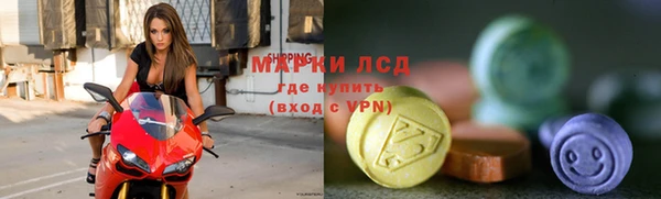 хмурый Абаза