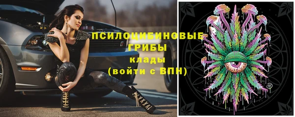 2c-b Абдулино