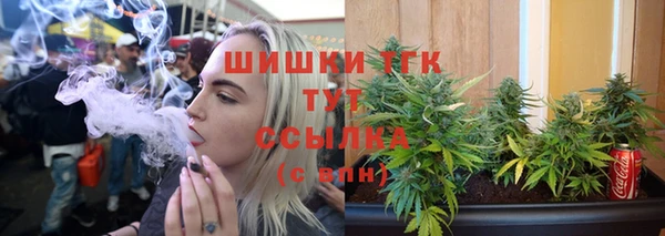 хмурый Абаза