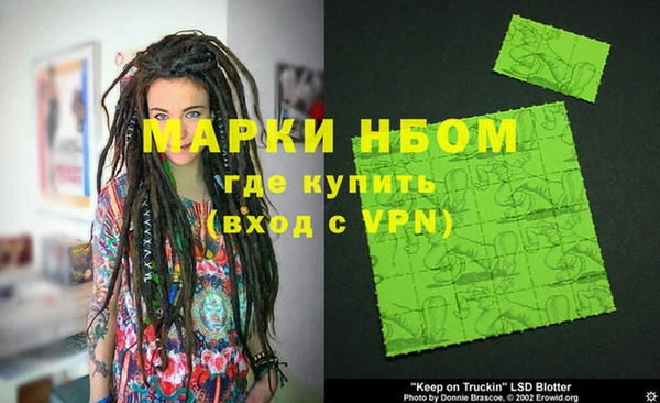 хмурый Абаза